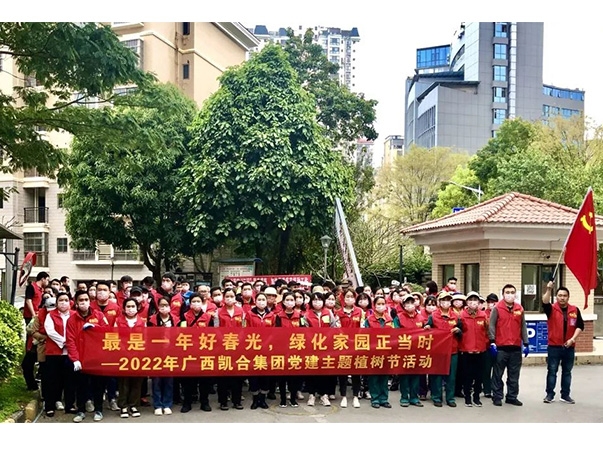 党建聚力、追“竹”理想——广西凯合集团开展“竹文化”党建主题植树活动