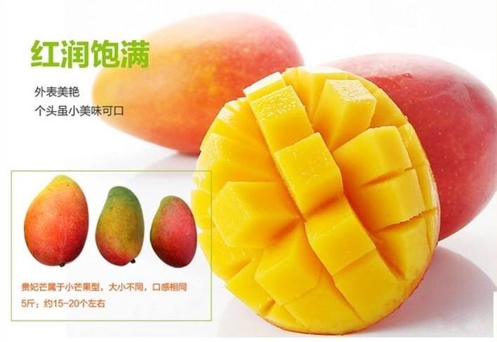 广西物业服务