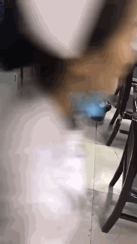 微信图片_20191121151252.gif