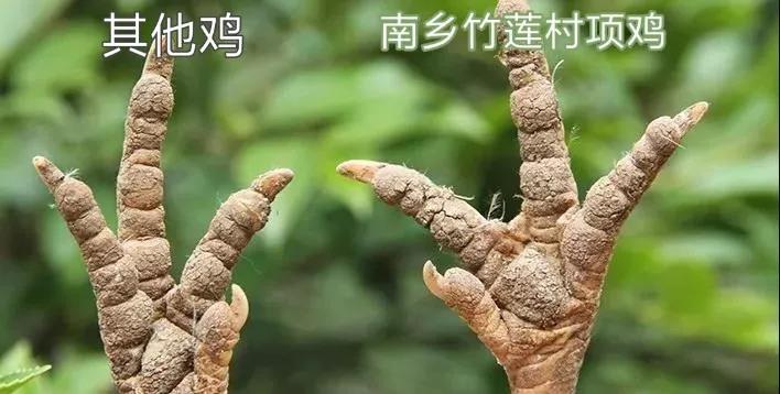 微信图片_20191122154432.jpg
