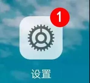1608622455642644.jpg